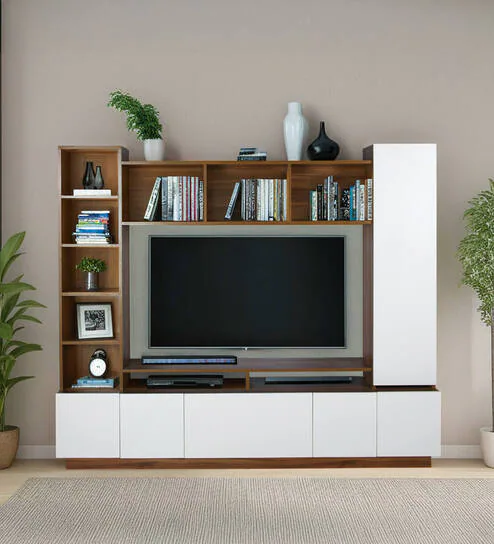 Entertainment Unit